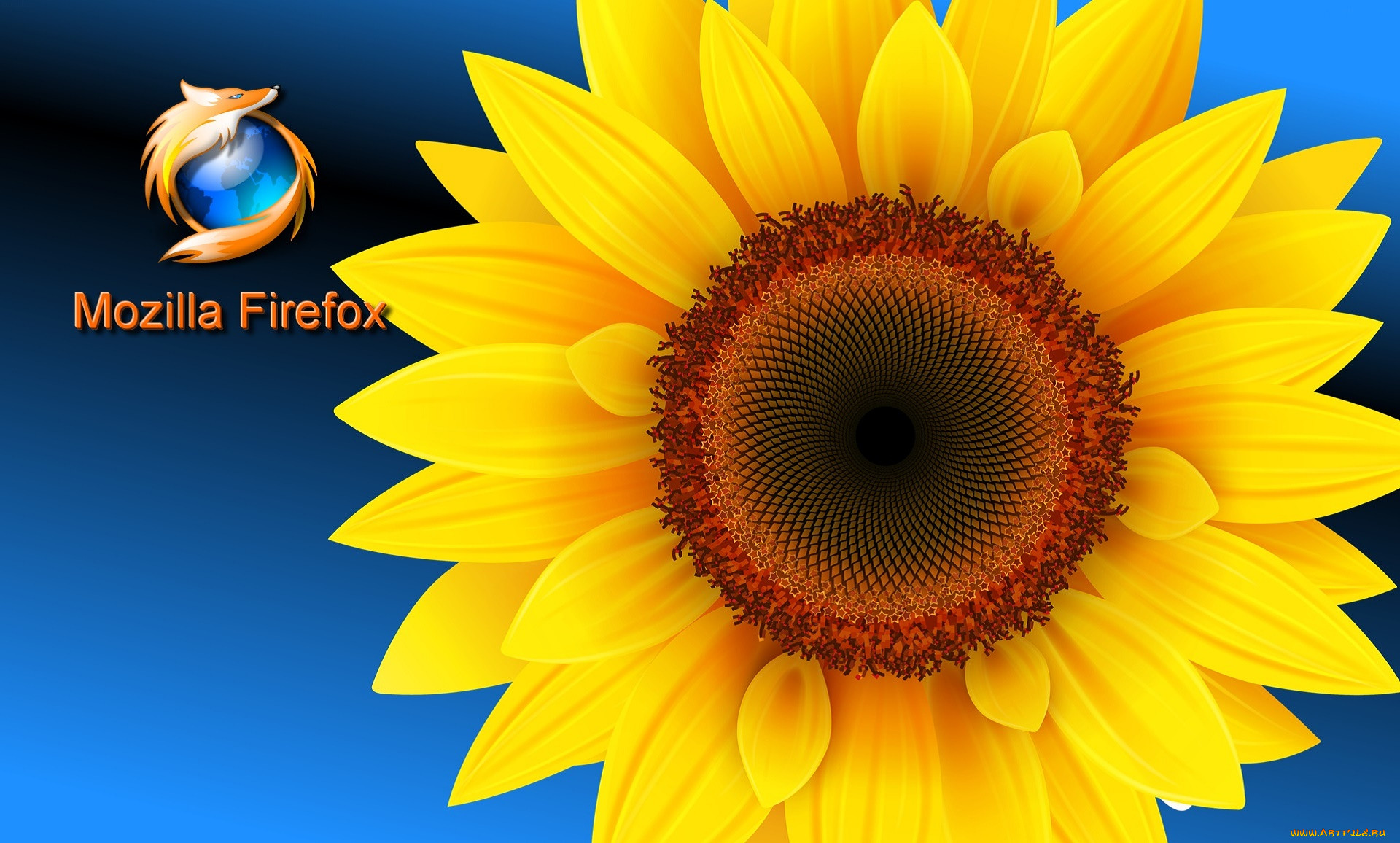 , mozilla firefox, , 